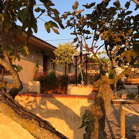 בית נופש Las Terrazas, La Casita Del Carpintero *